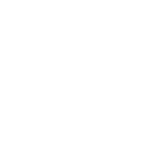 Treatment Success Rate+